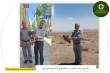 رها سازی یک سارگپه در زیستگاه های آزاد شهرستان نایین